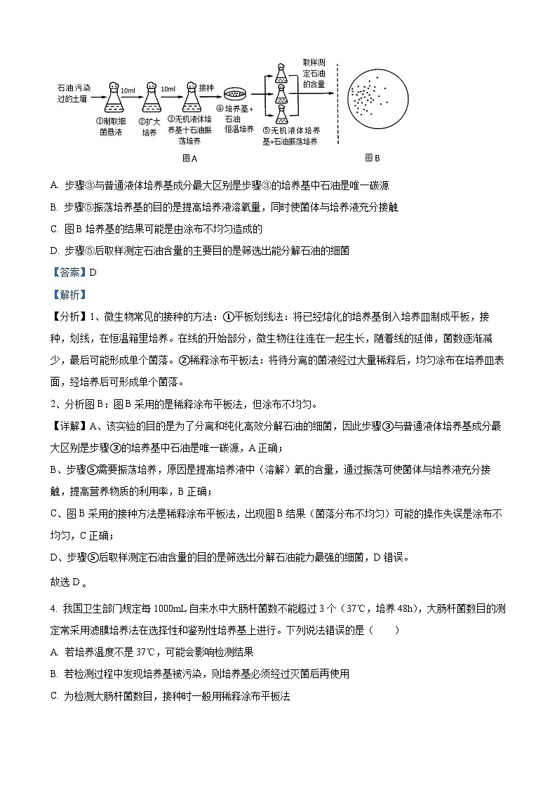吉林省通化市梅河口市第五中学2023-2024学年高二下学期5月期中生物试题（原卷版+解析版）03