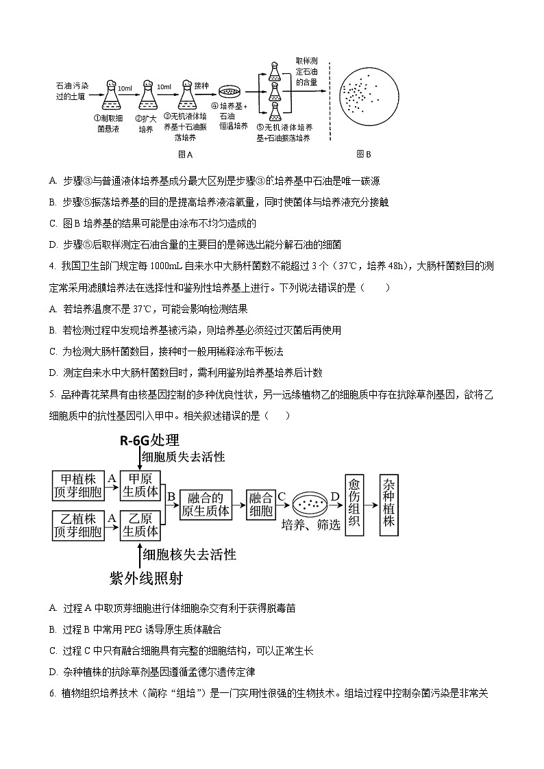 吉林省通化市梅河口市第五中学2023-2024学年高二下学期5月期中生物试题（原卷版+解析版）02