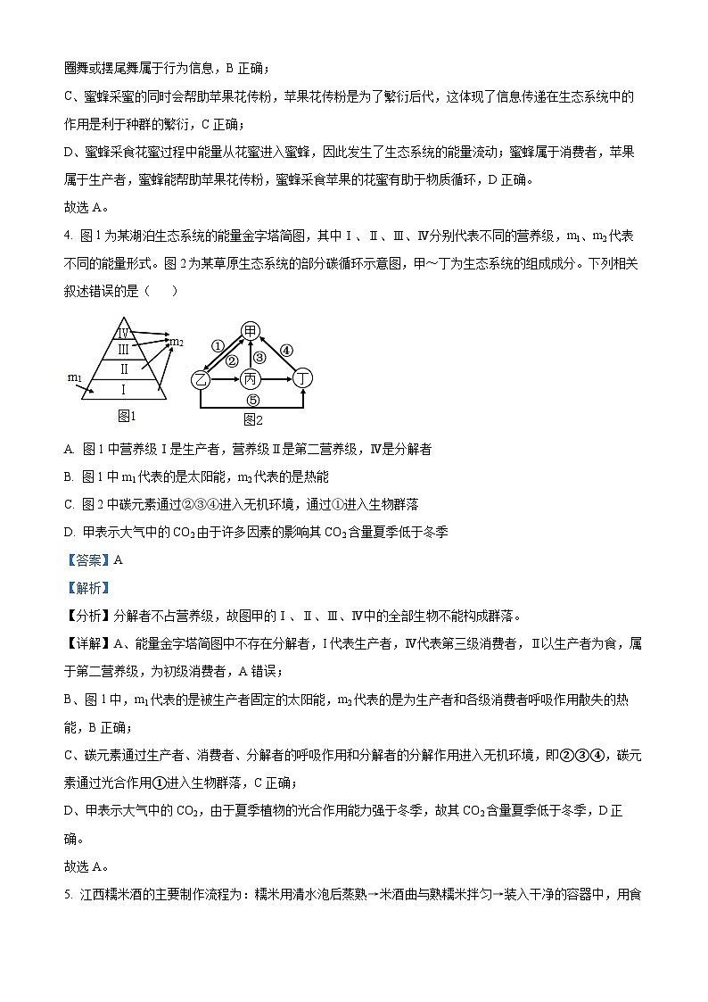 江西省于都中学等多校联考2023-2024学年高二下学期5月月考生物试题（原卷版+解析版）03
