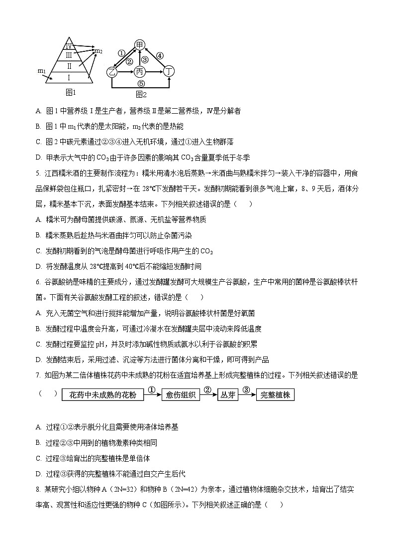 江西省于都中学等多校联考2023-2024学年高二下学期5月月考生物试题（原卷版+解析版）02