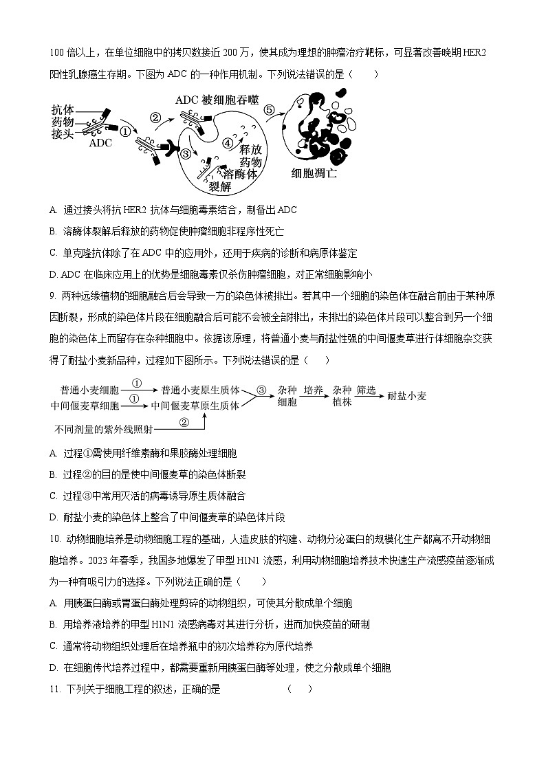 四川成华区某校2023-2024学年高二下学期期中考试生物试题（原卷版+解析版）03