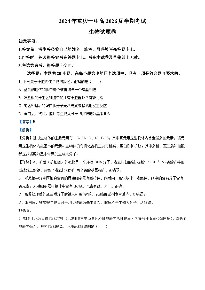 重庆市沙坪坝区第一中学校2023-2024学年高一下学期5月期中生物试题（原卷版+解析版）01