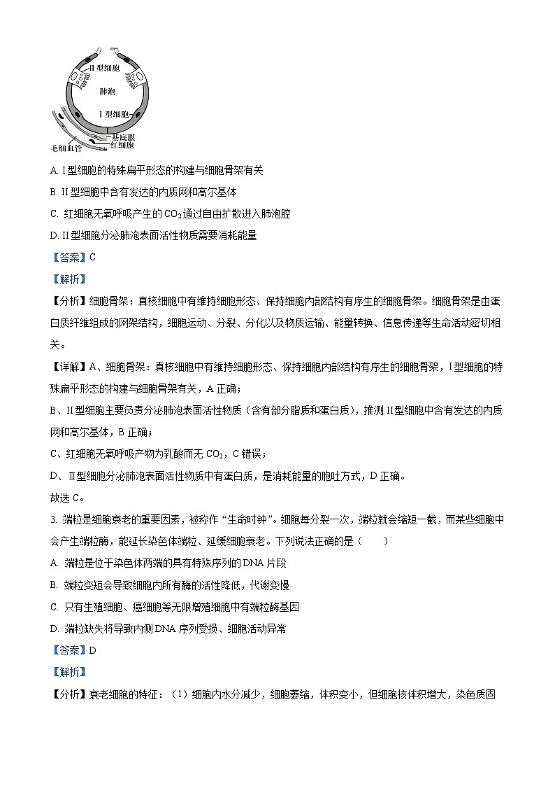 重庆市沙坪坝区第一中学校2023-2024学年高一下学期5月期中生物试题（原卷版+解析版）02
