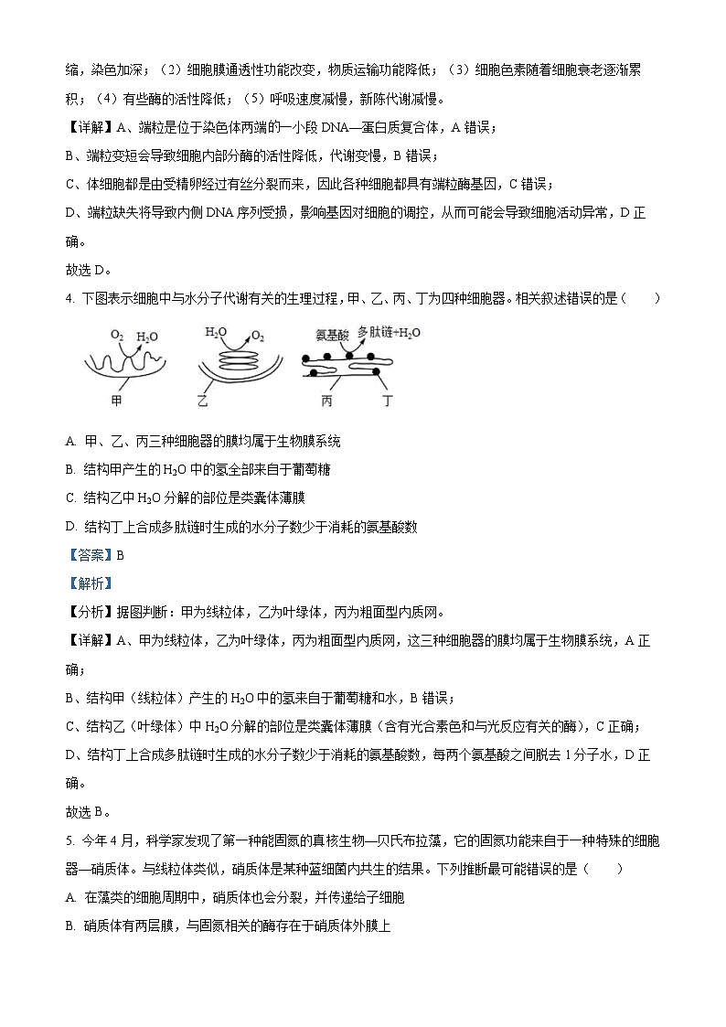 重庆市沙坪坝区第一中学校2023-2024学年高一下学期5月期中生物试题（原卷版+解析版）03