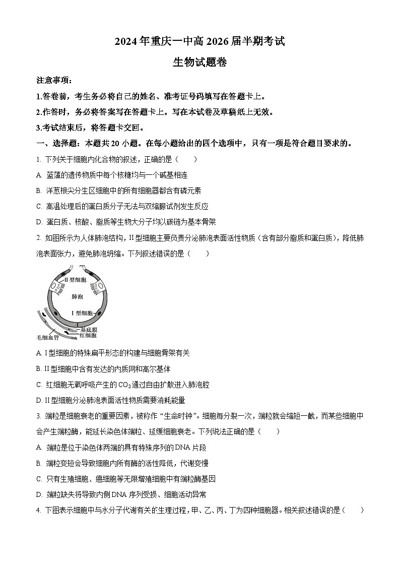 重庆市沙坪坝区第一中学校2023-2024学年高一下学期5月期中生物试题（原卷版+解析版）01
