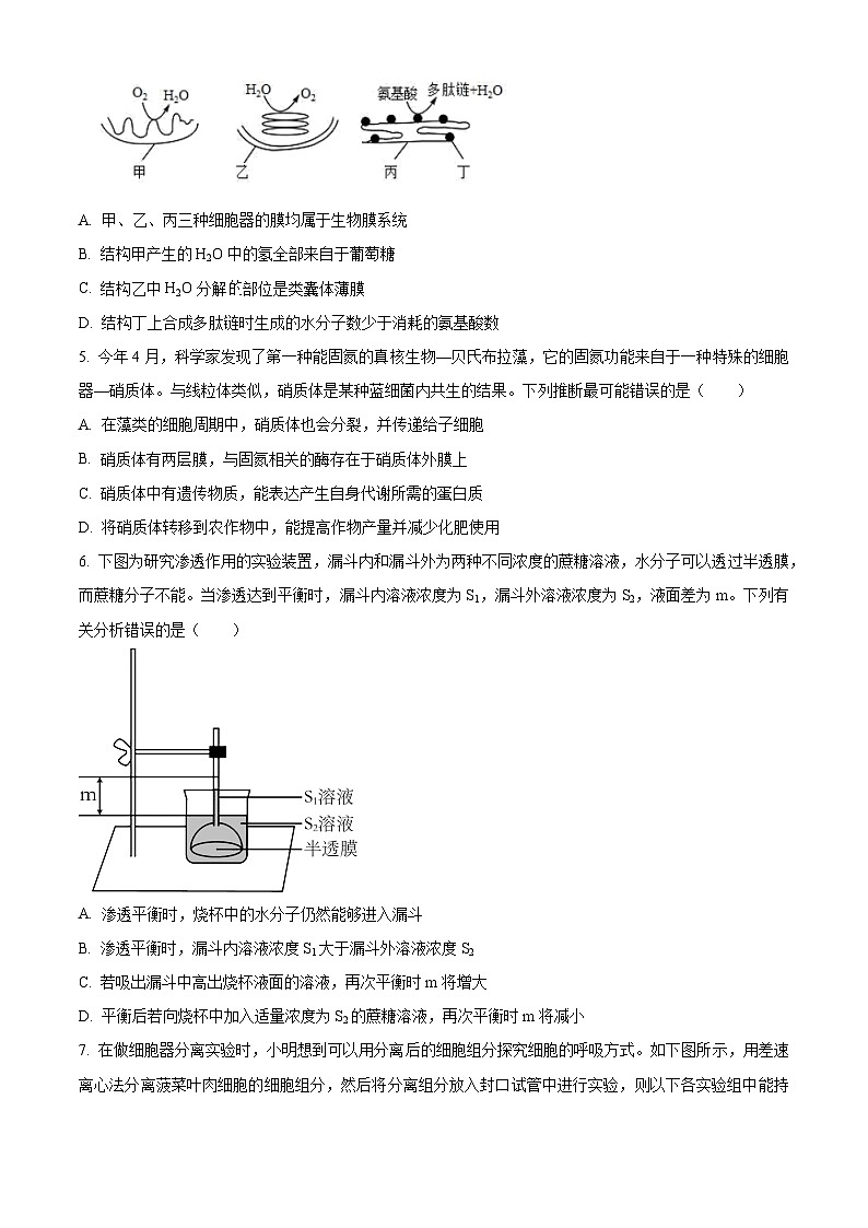 重庆市沙坪坝区第一中学校2023-2024学年高一下学期5月期中生物试题（原卷版+解析版）02