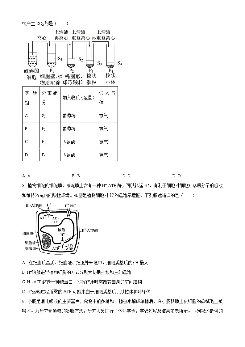 重庆市沙坪坝区第一中学校2023-2024学年高一下学期5月期中生物试题（原卷版+解析版）03