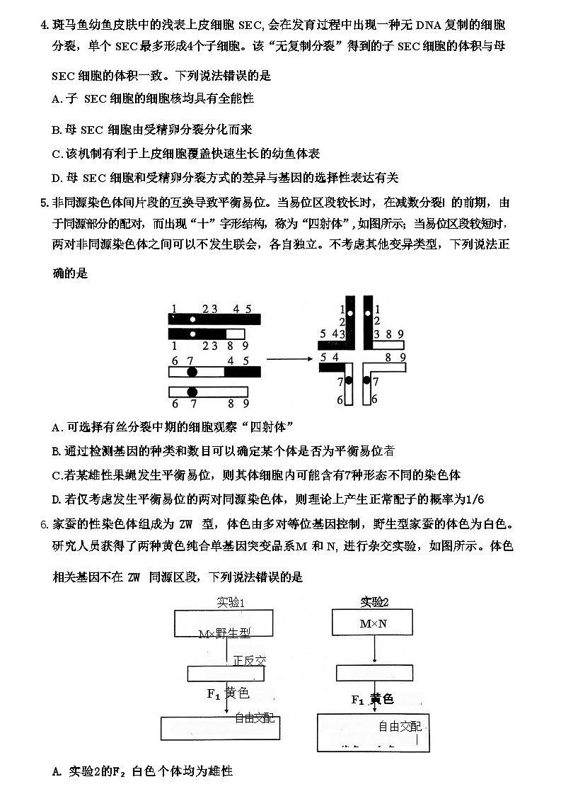 2024届山东省济宁市高三三模生物卷及答案03