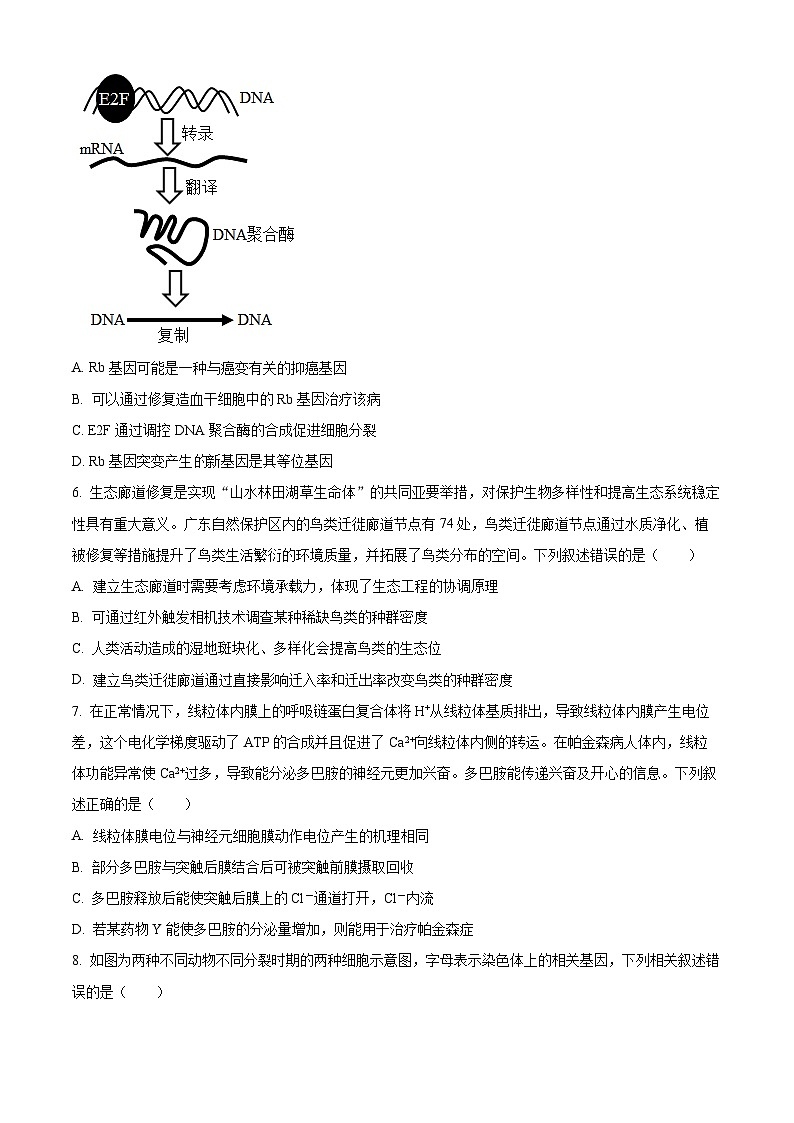 2024年辽宁高考生物学冲刺押题卷（二）（原卷版+解析版）03