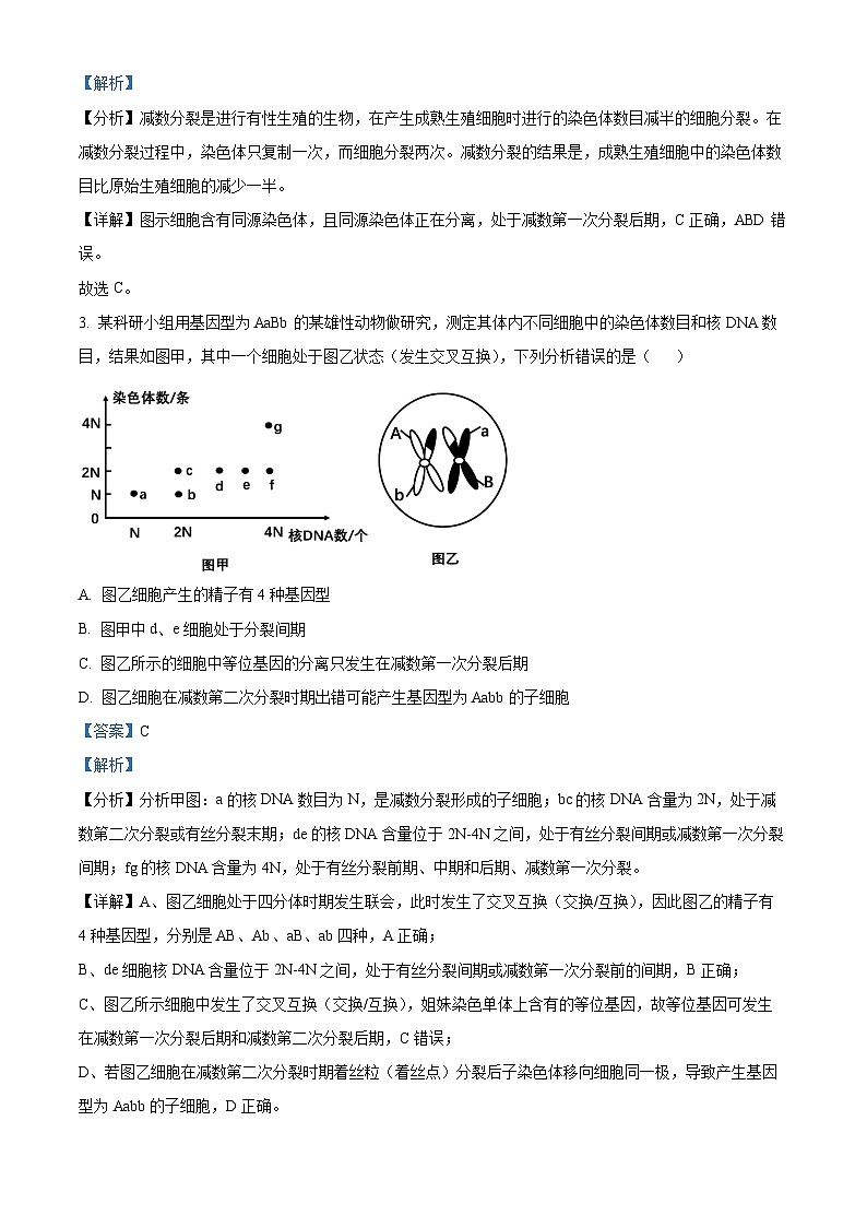 江苏省宿迁市青华中学2023-2024学年高一下学期期中考试生物试题（原卷版+解析版）02