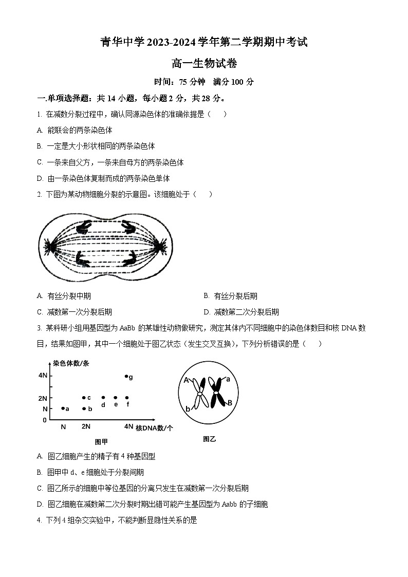 江苏省宿迁市青华中学2023-2024学年高一下学期期中考试生物试题（原卷版+解析版）01