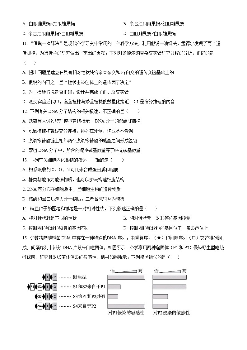 四川省泸州市合江县马街中学校2023-2024学年高一下学期5月期中考试生物试题（原卷版+解析版）03