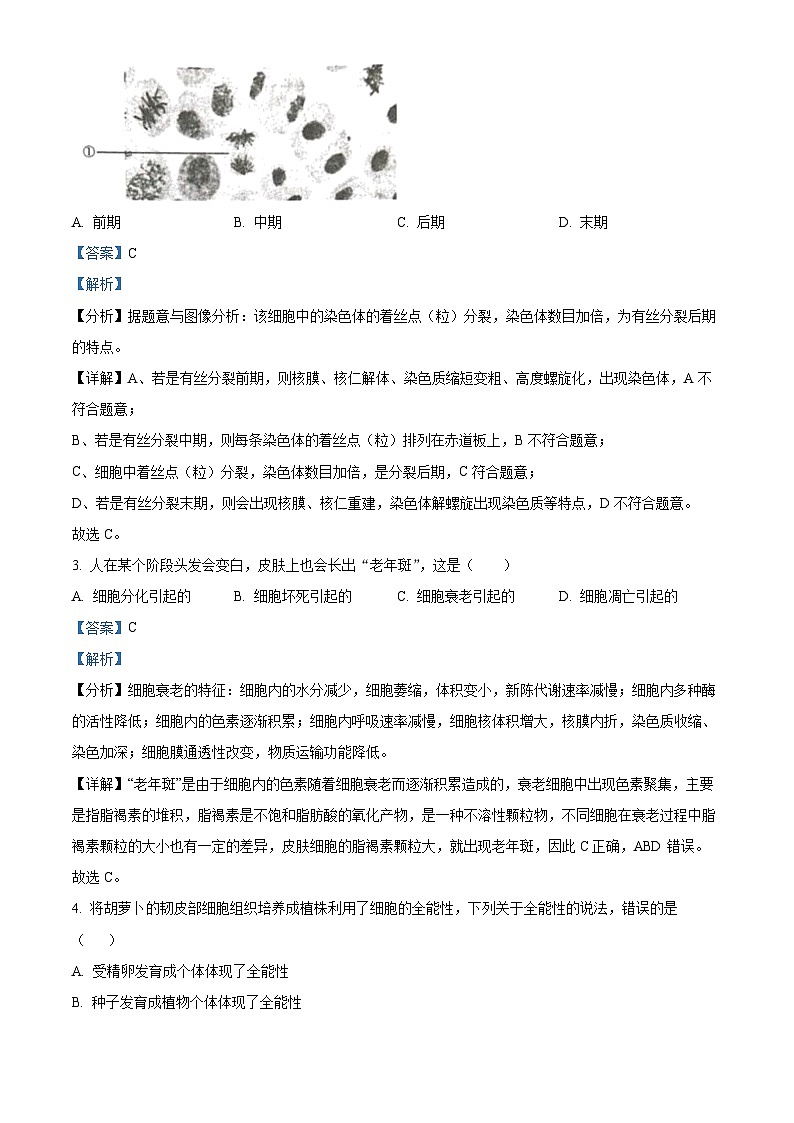 四川省泸州市合江县马街中学校2023-2024学年高一下学期5月期中考试生物试题（原卷版+解析版）02