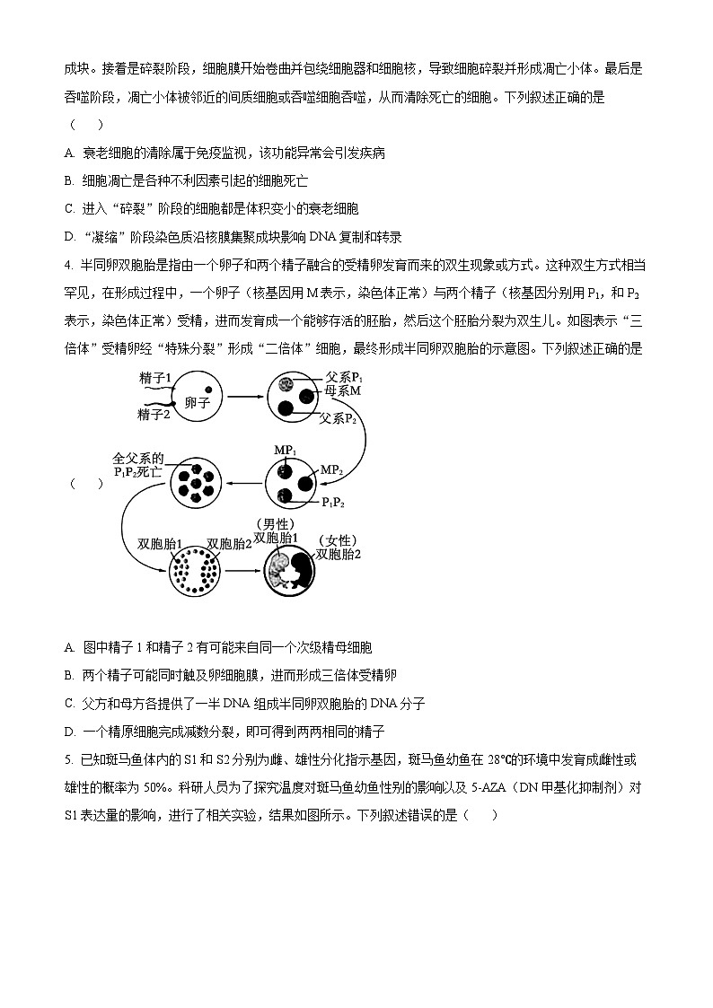 2024届安徽省A10联盟高三下学期最后一卷生物试题（原卷版+解析版）02