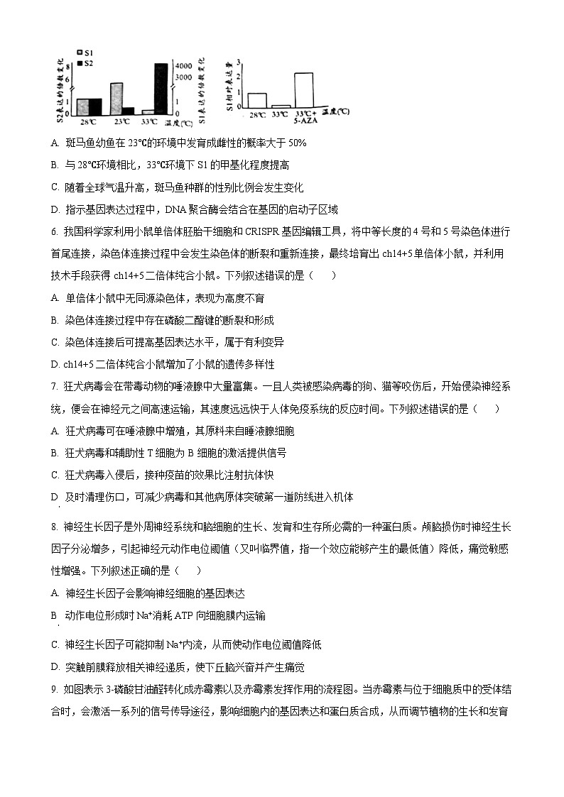 2024届安徽省A10联盟高三下学期最后一卷生物试题（原卷版+解析版）03
