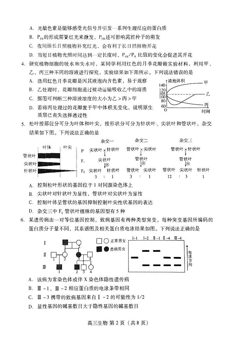 2023年山东省潍坊市高三三模生物试卷（含答案）02