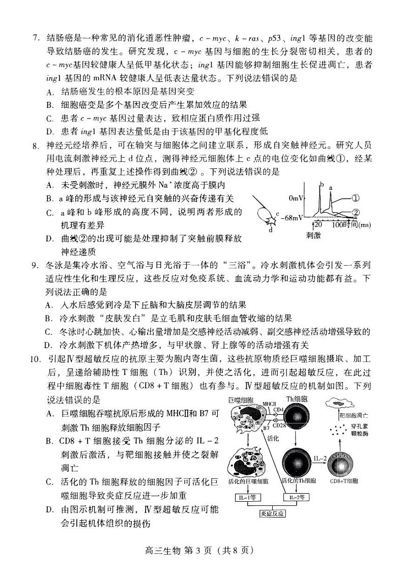 2023年山东省潍坊市高三三模生物试卷（含答案）03