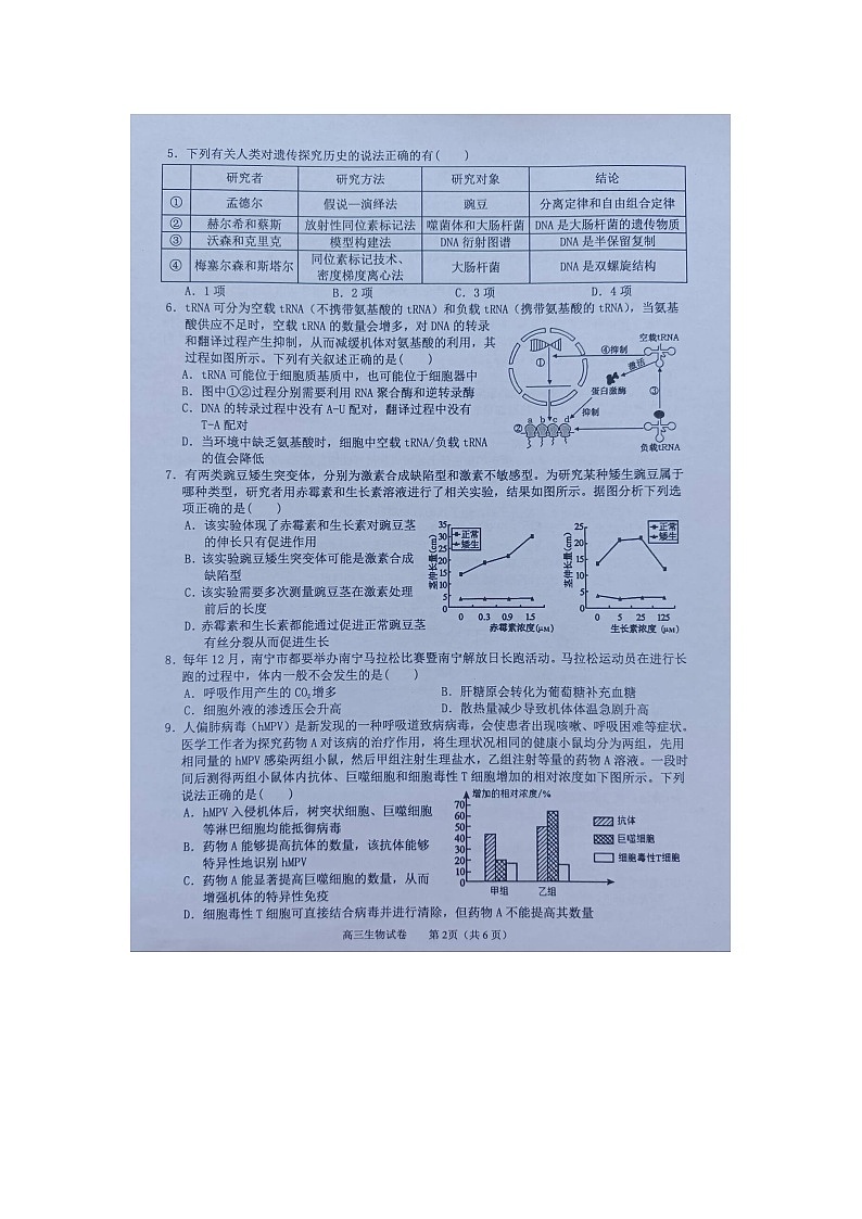 2024届广西梧州市、忻城县高三下学期5月仿真模拟生物试卷第2页