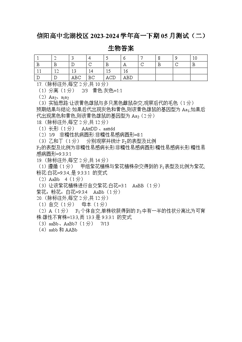 河南省信阳市浉河区信阳高级中学2023-2024学年高一下学期5月期中生物试题01