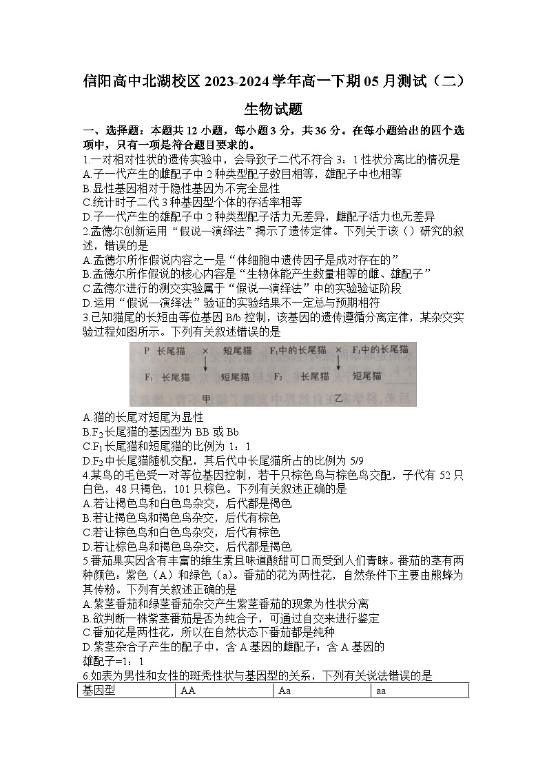 河南省信阳市浉河区信阳高级中学2023-2024学年高一下学期5月期中生物试题01