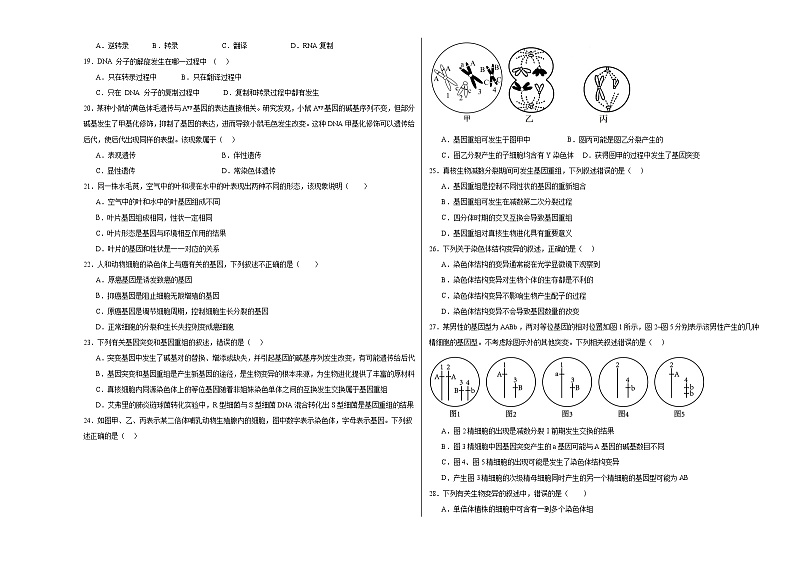 2024石嘴山一中高一下学期期中考试生物含答案第3页