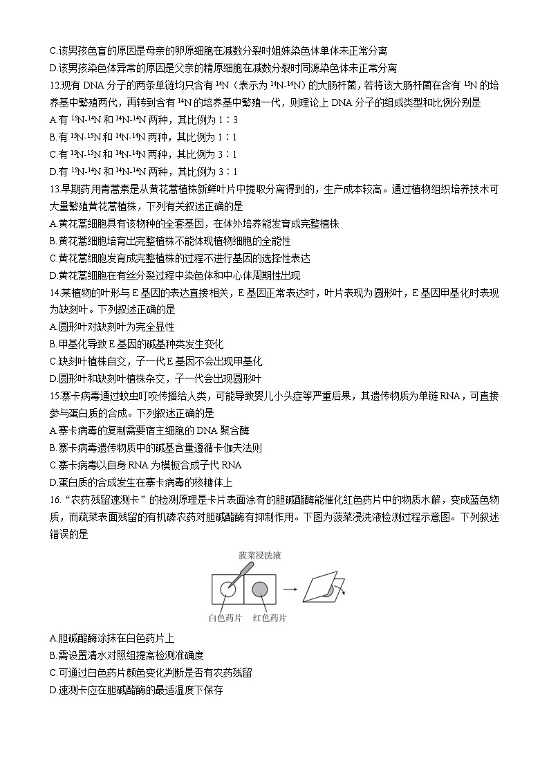 2024浙江省培优联盟高一下学期5月期中联考生物试题含答案第3页