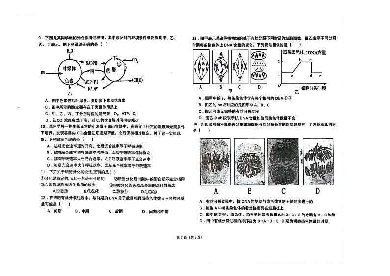 辽宁省朝阳市建平县实验中学2023-2024学年高一下学期5月期中生物试题02