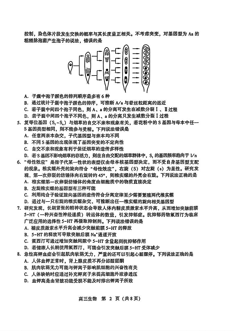 2024届山东省潍坊市高三三模生物试题及答案02