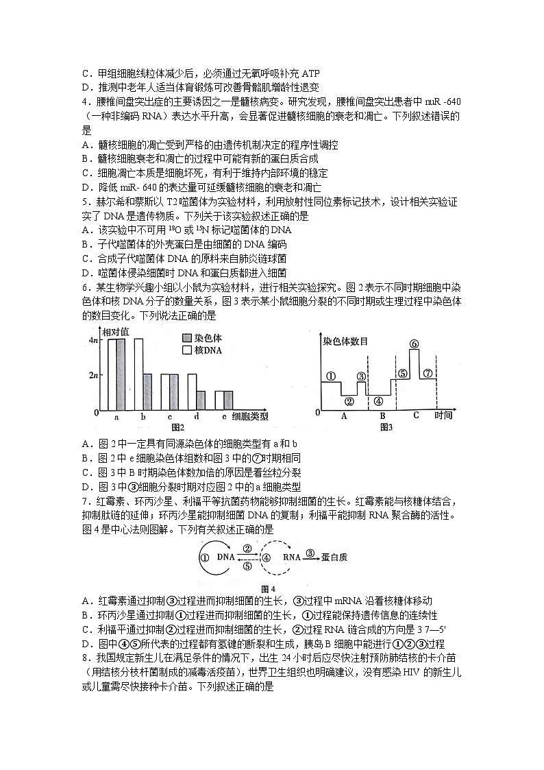 2024 届贵州省凯里市第一中学高三下学期模拟考试（黄金Ⅲ卷）生物试题第2页
