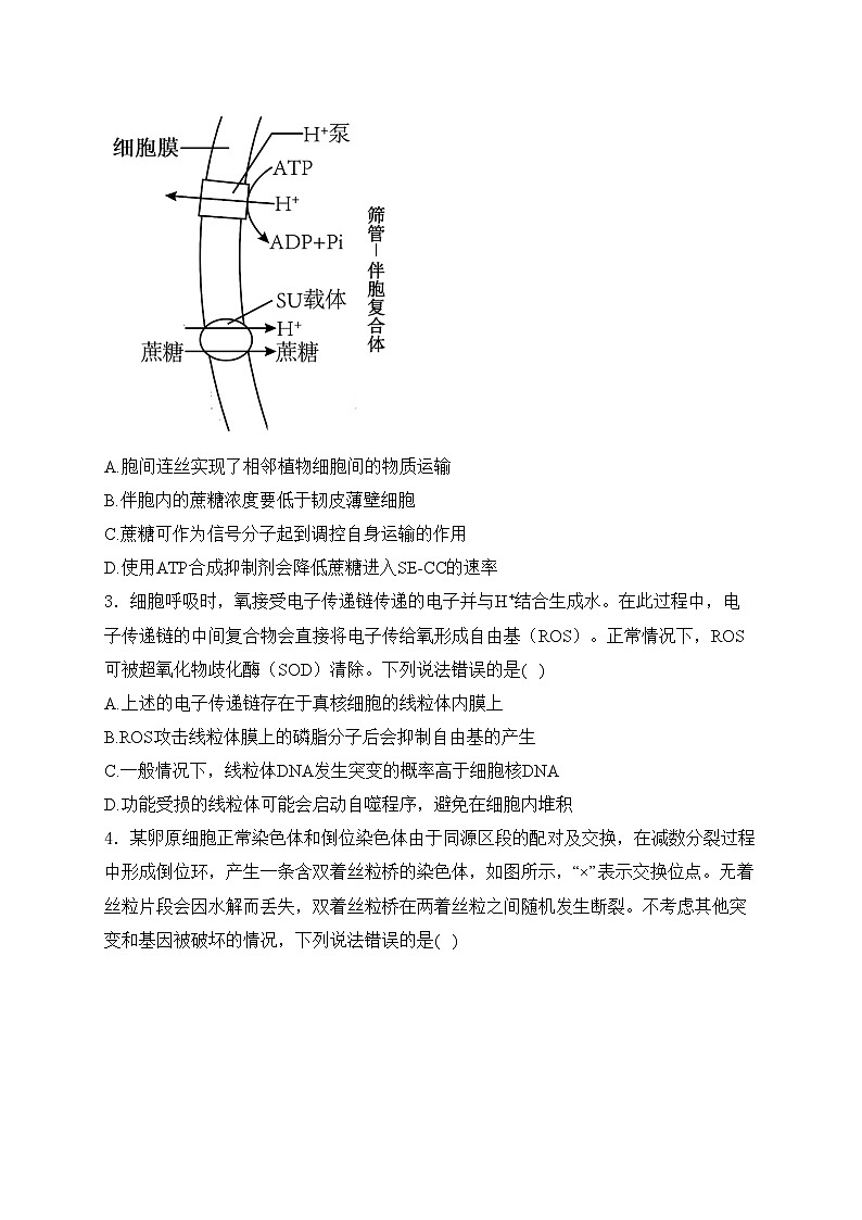 山东省潍坊市2024届高三二模生物试卷(含答案)02