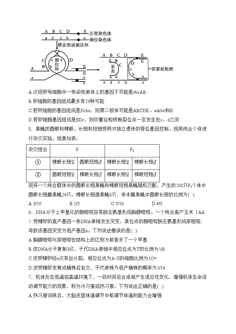 山东省潍坊市2024届高三二模生物试卷(含答案)03