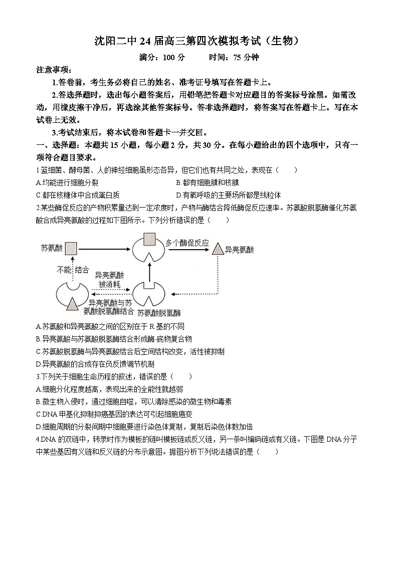 2024届辽宁省沈阳市第二中学高三下学期第四次模拟考试生物试卷(无答案)01