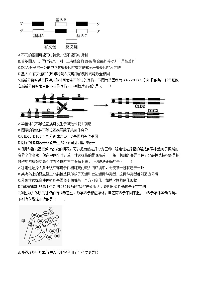 2024届辽宁省沈阳市第二中学高三下学期第四次模拟考试生物试卷(无答案)02