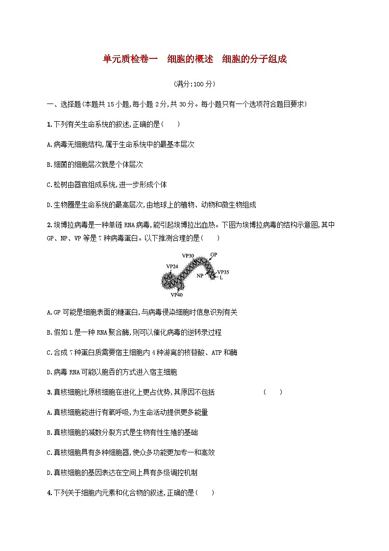 高考生物一轮复习专项练习单元质检卷一细胞的概述细胞的分子组成含答案01
