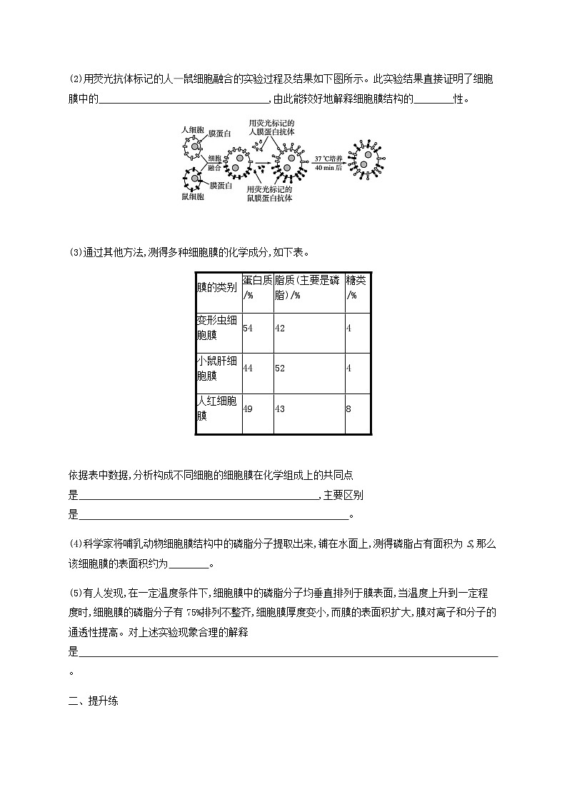 高考生物一轮复习专项练习课时规范练4细胞膜和细胞核含答案第3页
