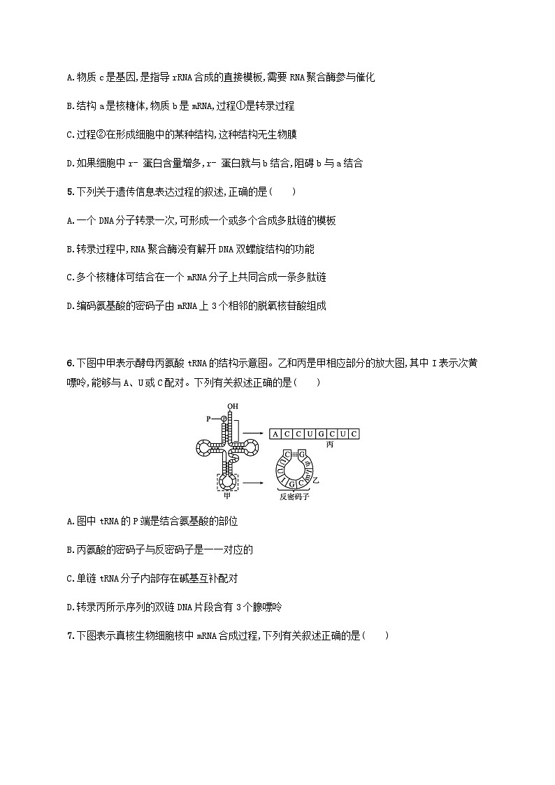 高考生物一轮复习专项练习课时规范练17遗传信息的转录和翻译含答案第2页