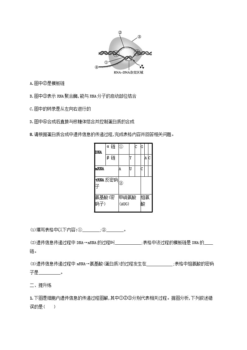 高考生物一轮复习专项练习课时规范练17遗传信息的转录和翻译含答案第3页