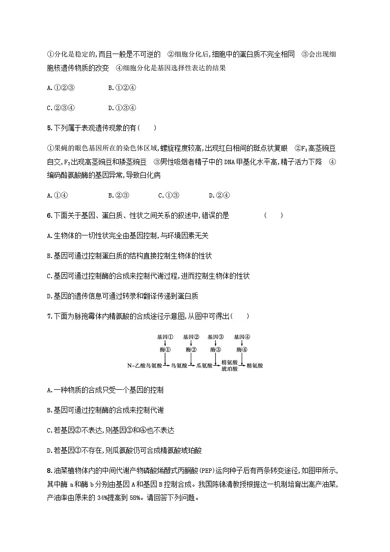 高考生物一轮复习专项练习课时规范练18基因表达与性状的关系含答案第2页