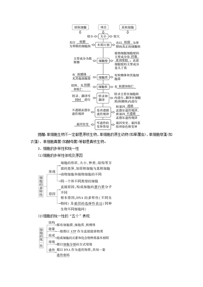 高考生物一轮总复习必修1第一单元第一讲走近细胞考点二细胞的多样性和统一性学案第2页