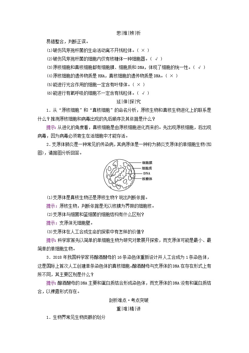 高考生物一轮总复习必修1第一单元第一讲走近细胞考点二细胞的多样性和统一性学案第3页