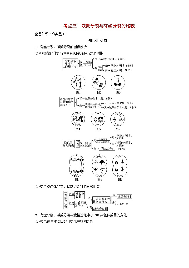 高考生物一轮总复习必修1第四单元第二讲细胞的减数分裂和受精作用考点三减数分裂与有丝分裂的比较学案第1页