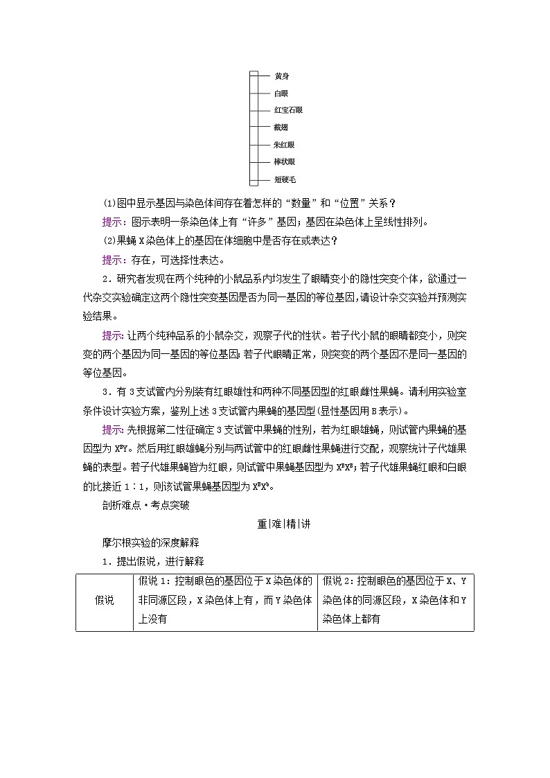 高考生物一轮总复习必修2第五单元第三讲伴性遗传考点一基因在染色体上的假说与证据学案03