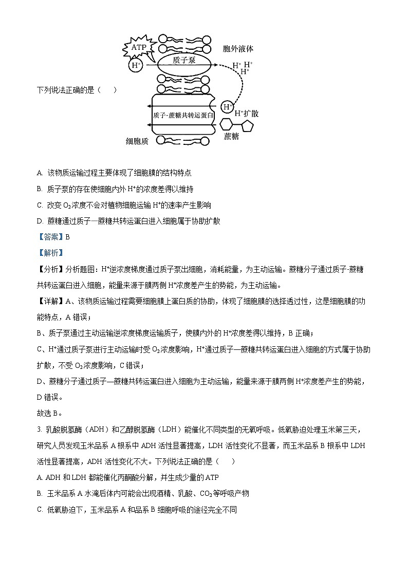 2024届安徽省阜阳市皖江名校联盟高三下学期5月模拟预测生物试题02