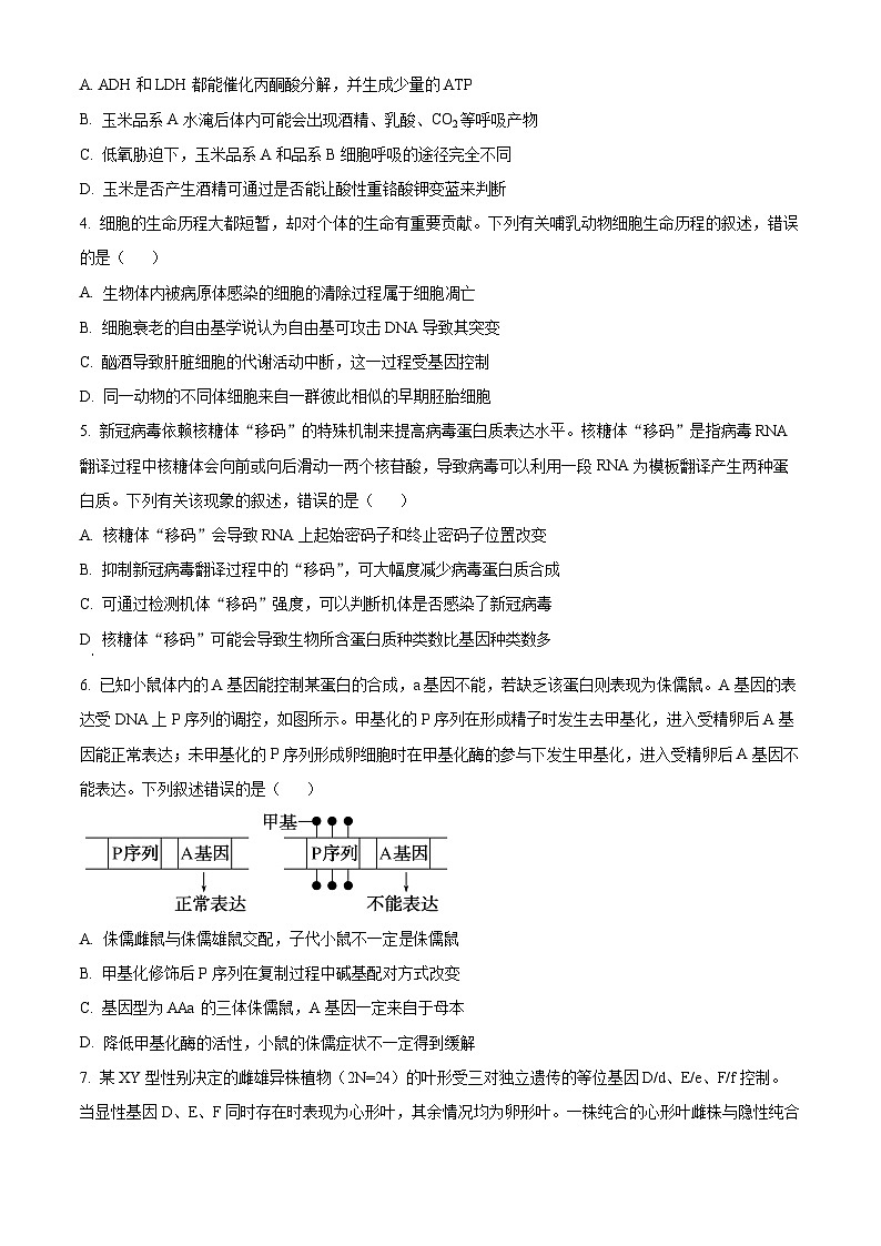 2024届安徽省阜阳市皖江名校联盟高三下学期5月模拟预测生物试题02