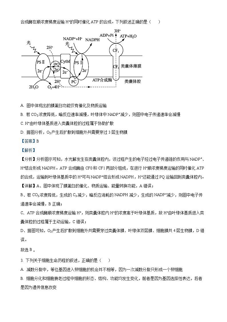 2024届甘肃省张掖市某校高三下学期模拟考试生物试题02