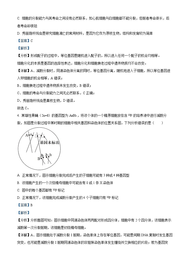 2024届甘肃省张掖市某校高三下学期模拟考试生物试题03