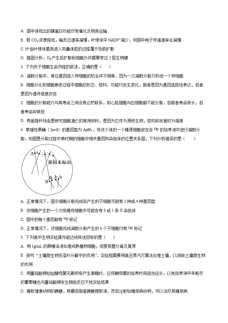 2024届甘肃省张掖市某校高三下学期模拟考试生物试题02