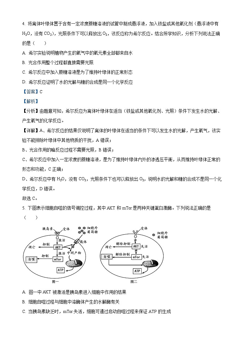 2024届广东省梅县东山中学高三下学期5月考前模拟（一）生物试题（解析版）第3页