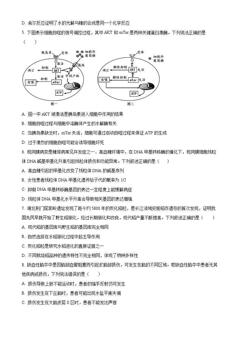 2024届广东省梅县东山中学高三下学期5月考前模拟（一）生物试题（原卷版）第2页