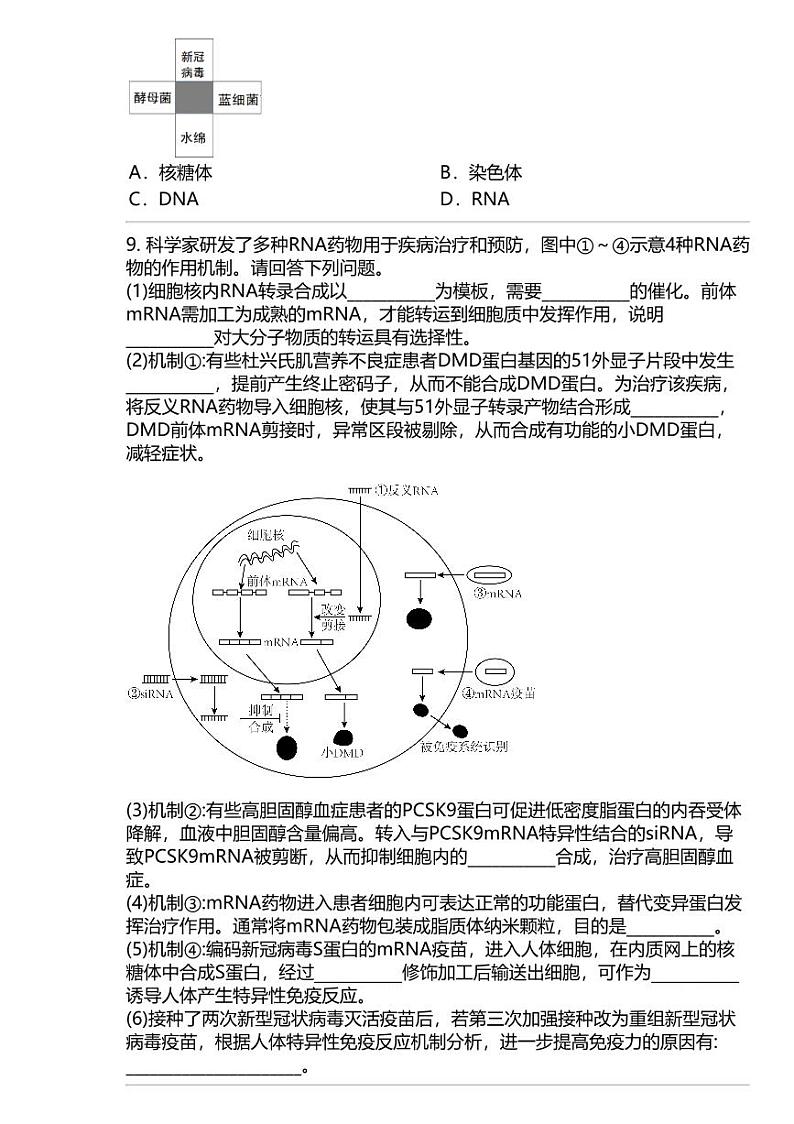 2024高考冲刺生物最热50题 生物学热点聚焦 专题汇总03
